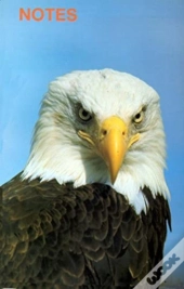 Note Book Bald Eagle
