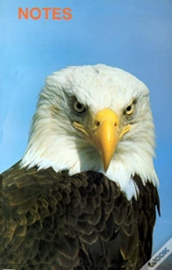 Capa do artigo Note Book Bald Eagle