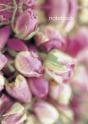 Notebook: Rosebuds - Preview