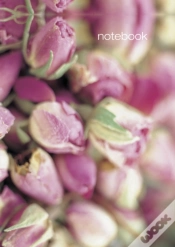 Capa do artigo Notebook: Rosebuds