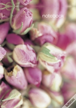 Capa do artigo Notebook: Rosebuds
