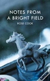 Capa do artigo Notes From A Bright Field