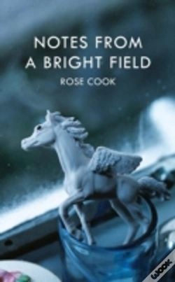 Capa do artigo Notes From A Bright Field