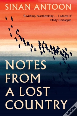 Capa do artigo Notes From A Lost Country