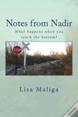 Capa do artigo Notes From Nadir