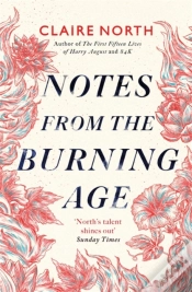 Capa do artigo Notes From The Burning Age