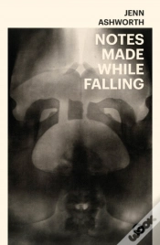 Capa do artigo Notes Made While Falling