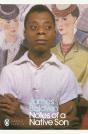 Notes Of A Native Son - Preview