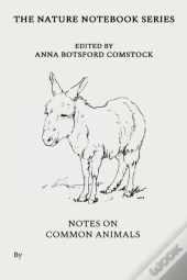 Notes On Common Animals
