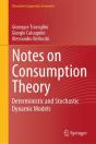 Notes On Consumption Theory - Preview