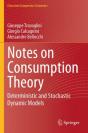 Notes On Consumption Theory - Preview