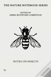 Notes On Insects