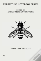 Capa do artigo Notes On Insects