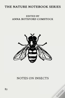 Capa do artigo Notes On Insects