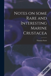 Capa do artigo Notes On Some Rare And Interesting Marin