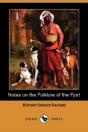 Notes On The Folklore Of The Fjort (Dodo Press) - Preview