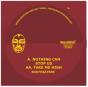 Nothing Can Stop Us/Take Me High - Vinil - Preview
