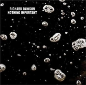 Capa do artigo Nothing Important - Vinil
