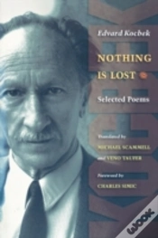 Capa do artigo Nothing Is Lost