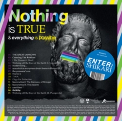 Capa do artigo Nothing Is True & Everything Is Possible - Vinil