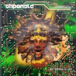 Capa do artigo Nothing Lasts... But Nothing Is Lost - Vinil