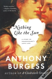 Capa do artigo Nothing Like The Sun