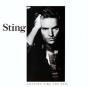 ...Nothing Like the Sun - Vinil - Preview