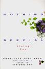 Nothing Special - Preview