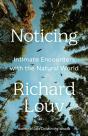 Noticing - Preview
