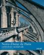 Notre-Dame De Paris ; Cathédrale Médiévale - Preview