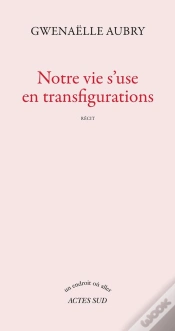 Capa do artigo Notre Vie S