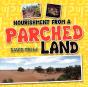 Nourishment From A Parched Land - Preview