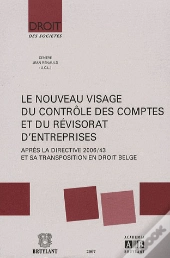 Nouveau Visage Du Controle Des Comptes E