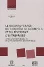 Nouveau Visage Du Controle Des Comptes E - Preview