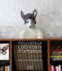 Nouveaux Cabinets D'Amateurs - Preview