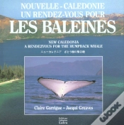 Capa do artigo Nouvelle-Caledonie ; Un Rendez-Vous Pour Les Baleines