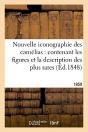 Nouvelle Iconographie Des Camelias : Contenant Les Figures Et La Description Des Plus Rares (1859) - Preview