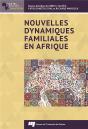 Nouvelles Dynamiques Familiales En Afrique - Preview