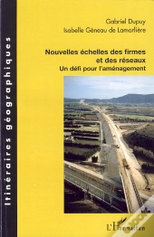 Nouvelles Échelles Des Firmes Et Des Réseaux ; Un Défi Pour L'Aménagement