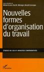 Nouvelles Formes D'Organisation Du Travail ; Études De Cas Et Analyses Comparatives - Preview