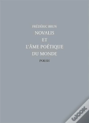 Capa do artigo Novalis Et L