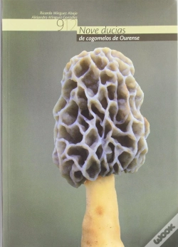 Capa do artigo Nove Ducias De Cogomelos En Ourense