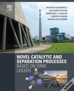 Capa do artigo Novel Catalytic And Separation Processes Based On Ionic Liquids