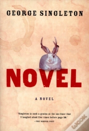 Capa do artigo Novel