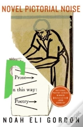 Novel Pictorial Noise