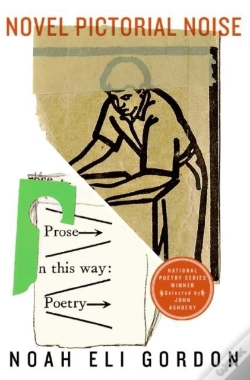 Capa do artigo Novel Pictorial Noise