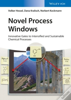 Capa do artigo Novel Process Windows