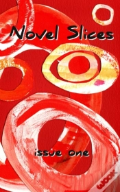 Capa do artigo Novel Slices Issue 1