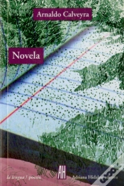 Capa do artigo Novela