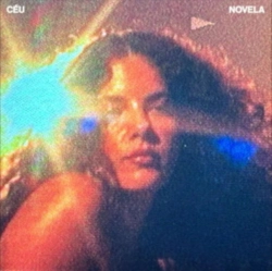 Capa do artigo Novela - Vinil